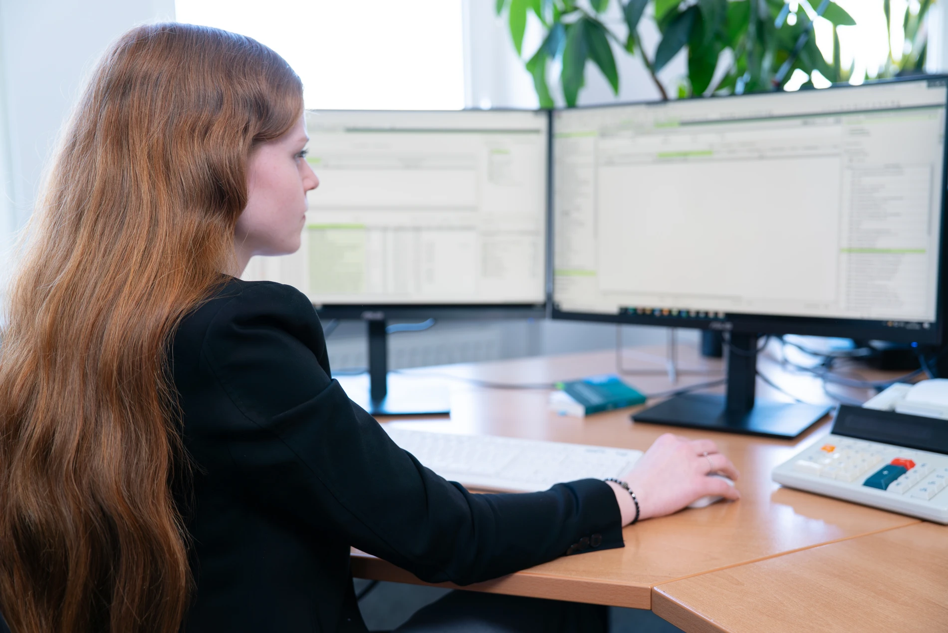 Steuerberaterin an Monitoren